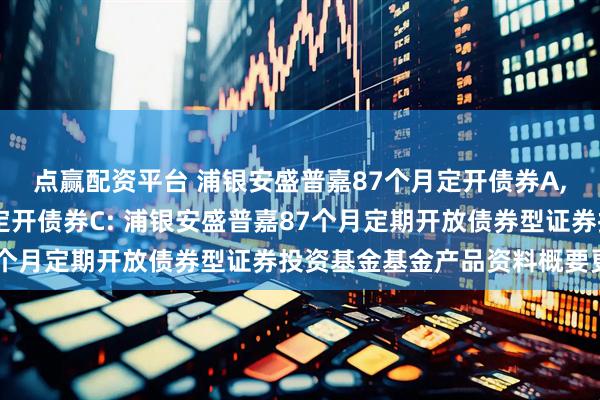 点赢配资平台 浦银安盛普嘉87个月定开债券A,浦银安盛普嘉87个月定开债券C: 浦银安盛普嘉87个月定期开放债券型证券投资基金基金产品资料概要更新