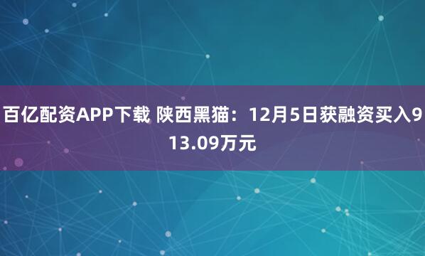 百亿配资APP下载 陕西黑猫：12月5日获融资买入913.09万元