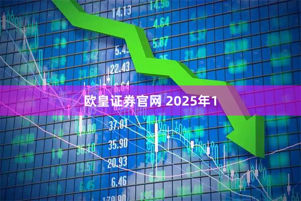 欧皇证券官网 2025年1