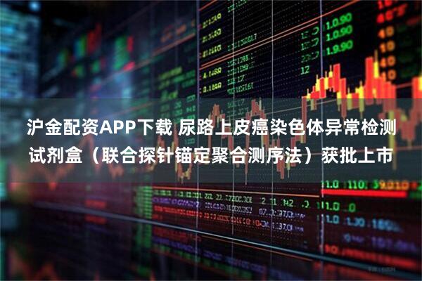 沪金配资APP下载 尿路上皮癌染色体异常检测试剂盒（联合探针锚定聚合测序法）获批上市