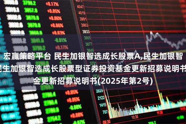 宏赢策略平台 民生加银智选成长股票A,民生加银智选成长股票C: 民生加银智选成长股票型证券投资基金更新招募说明书(2025年第2号)