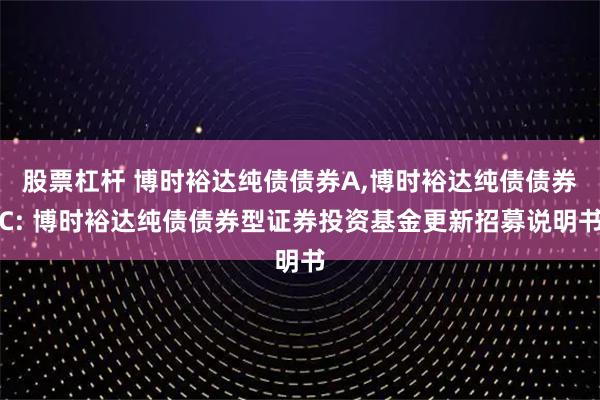 股票杠杆 博时裕达纯债债券A,博时裕达纯债债券C: 博时裕达纯债债券型证券投资基金更新招募说明书