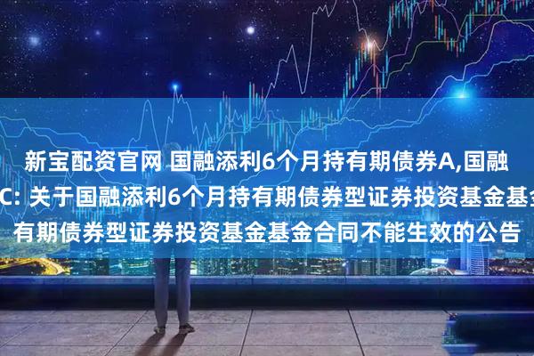 新宝配资官网 国融添利6个月持有期债券A,国融添利6个月持有期债券C: 关于国融添利6个月持有期债券型证券投资基金基金合同不能生效的公告