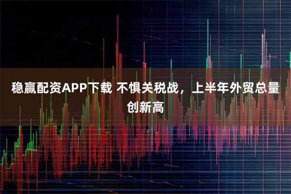 稳赢配资APP下载 不惧关税战,上半年外贸总量创新高