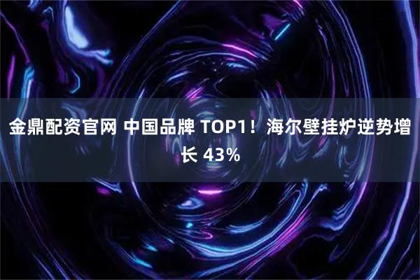 金鼎配资官网 中国品牌 TOP1！海尔壁挂炉逆势增长 43%