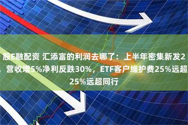 股E融配资 汇添富的利润去哪了：上半年密集新发22基，营收增5%净利反跌30%，ETF客户维护费25%远超同行